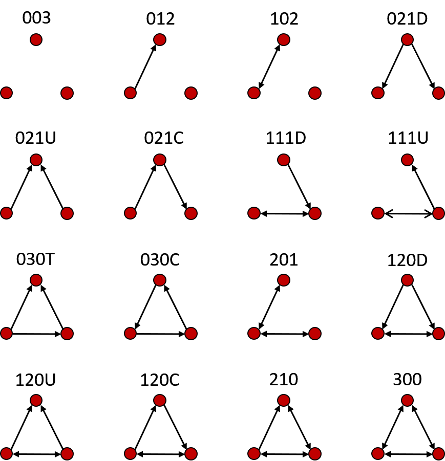 Directed triad configurations